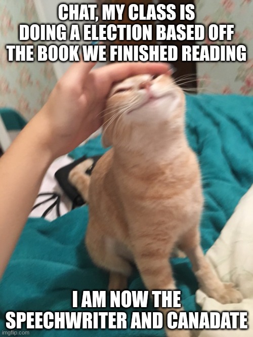 :3 | CHAT, MY CLASS IS DOING A ELECTION BASED OFF THE BOOK WE FINISHED READING; I AM NOW THE SPEECHWRITER AND CANADATE | image tagged in cat pat | made w/ Imgflip meme maker