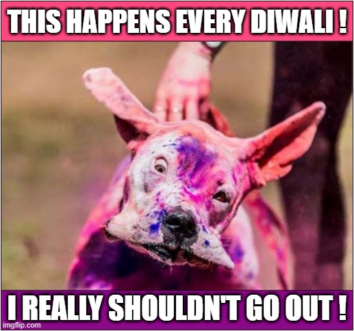 The Colours Are Like My Dreams ! | THIS HAPPENS EVERY DIWALI ! I REALLY SHOULDN'T GO OUT ! | image tagged in diwali,festival,colours,dog | made w/ Imgflip meme maker