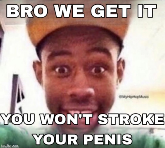 Bro we get it, you won't stroke your penis | image tagged in bro we get it you won't stroke your penis | made w/ Imgflip meme maker