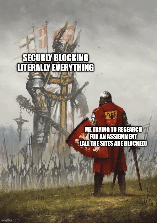 Giant knight | SECURLY BLOCKING LITERALLY EVERYTHING ME TRYING TO RESEARCH FOR AN ASSIGNMENT (ALL THE SITES ARE BLOCKED) | image tagged in giant knight | made w/ Imgflip meme maker