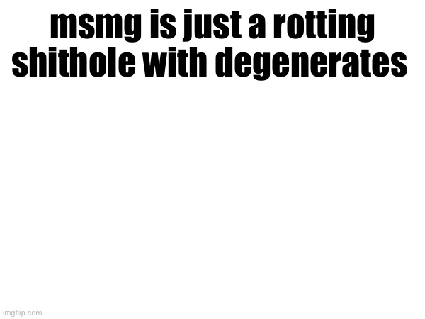 msmg is just a rotting shithole with degenerates | made w/ Imgflip meme maker