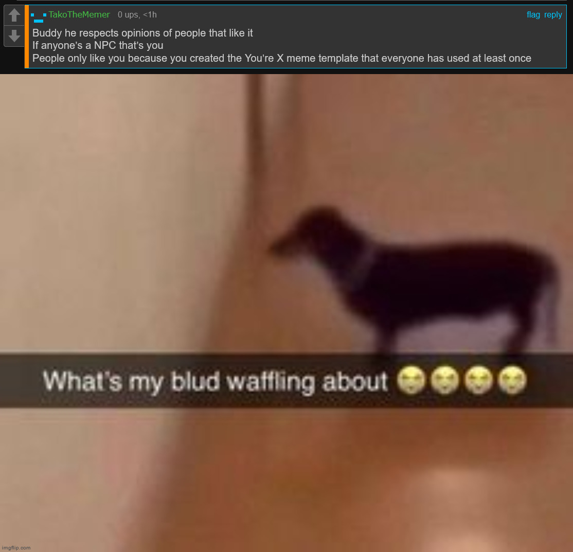 Literally nobody knows me for that ☠ | image tagged in what's my blud waffling about | made w/ Imgflip meme maker