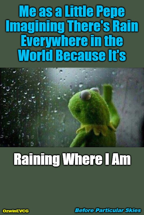 Before Particular Skies | Me as a Little Pepe 

Imagining There's Rain 

Everywhere in the 

World Because It's; Raining Where I Am; Before Particular Skies; OzwinEVCG | image tagged in kermit,windows,pepes,it's raining,childhood memories,world perspectives | made w/ Imgflip meme maker