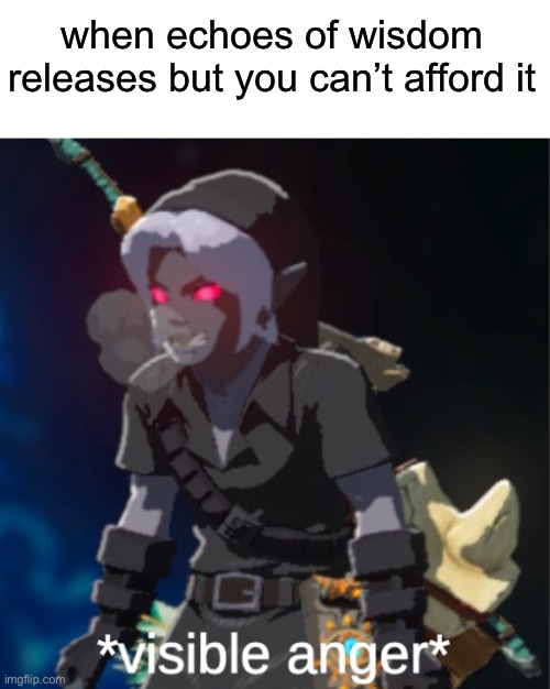 I can’t get it yet :/ | when echoes of wisdom releases but you can’t afford it | image tagged in visible anger,echoes of wisdom | made w/ Imgflip meme maker