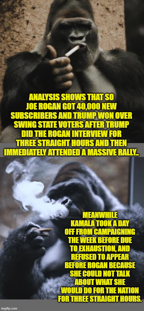 The Dem Party's leadership has got so much faith in cheating that they aren't even trying. | ANALYSIS SHOWS THAT SO JOE ROGAN GOT 40,000 NEW SUBSCRIBERS AND TRUMP WON OVER SWING STATE VOTERS AFTER TRUMP DID THE ROGAN INTERVIEW FOR THREE STRAIGHT HOURS AND THEN IMMEDIATELY ATTENDED A MASSIVE RALLY.. MEANWHILE KAMALA TOOK A DAY OFF FROM CAMPAIGNING THE WEEK BEFORE DUE TO EXHAUSTION, AND REFUSED TO APPEAR BEFORE ROGAN BECAUSE SHE COULD NOT TALK ABOUT WHAT SHE WOULD DO FOR THE NATION FOR THREE STRAIGHT HOURS. | image tagged in yep | made w/ Imgflip meme maker