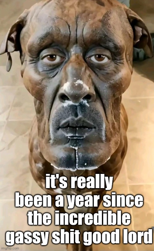 a "dog" | it's really been a year since the incredible gassy shit good lord | image tagged in a dog | made w/ Imgflip meme maker