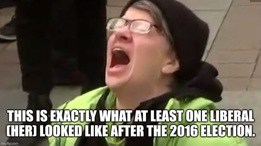 Screaming Liberal  | THIS IS EXACTLY WHAT AT LEAST ONE LIBERAL (HER) LOOKED LIKE AFTER THE 2016 ELECTION. | image tagged in screaming liberal | made w/ Imgflip meme maker