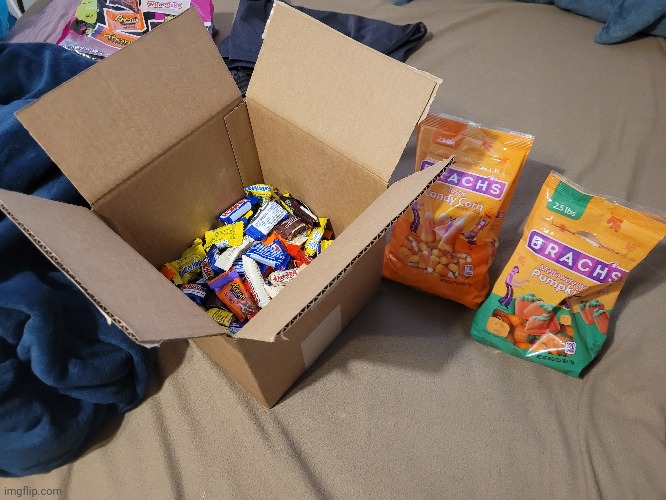 Half price candy day haul, 15+ pounds! | made w/ Imgflip meme maker