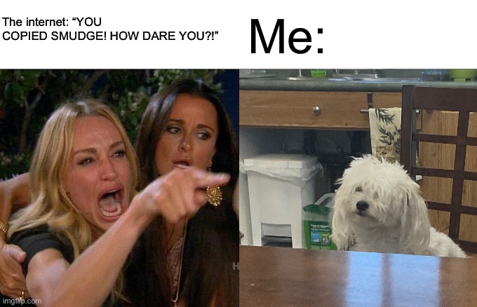 woman yelling at dog | The internet: “YOU COPIED SMUDGE! HOW DARE YOU?!”; Me: | image tagged in memes,woman yelling at cat | made w/ Imgflip meme maker
