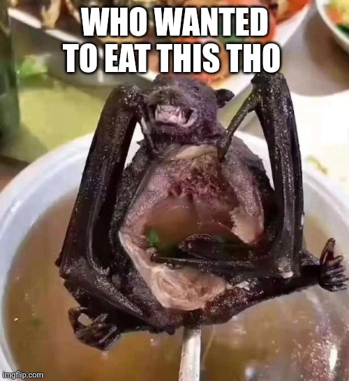 bat | WHO WANTED TO EAT THIS THO | image tagged in bat | made w/ Imgflip meme maker