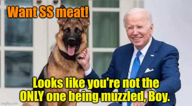 Curb your dogs! | Want SS meat! Looks like you're not the ONLY one being muzzled, Boy. | made w/ Imgflip meme maker