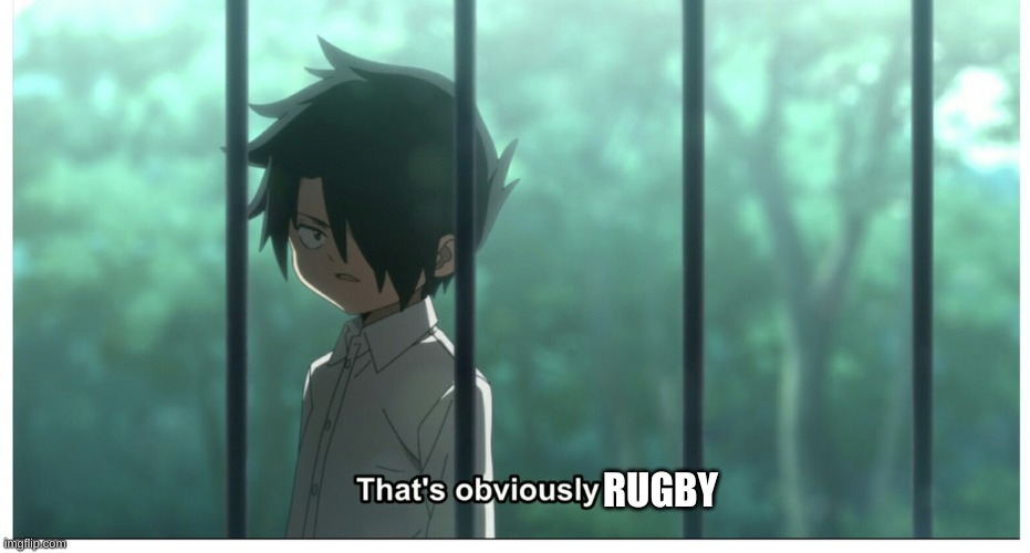 Ray that's obviously a lie meme | RUGBY | image tagged in ray that's obviously a lie meme | made w/ Imgflip meme maker