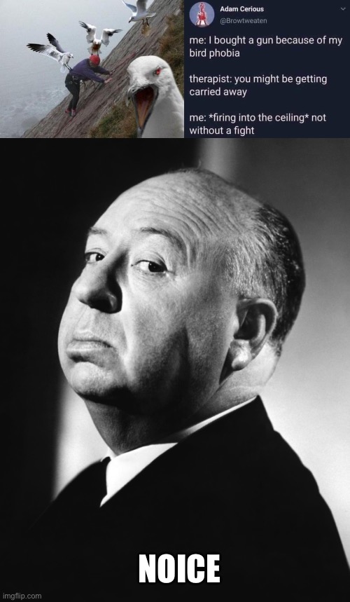 Birds vs Gun | NOICE | image tagged in angry birds,alfred hitchcock,birds,gun,fear | made w/ Imgflip meme maker