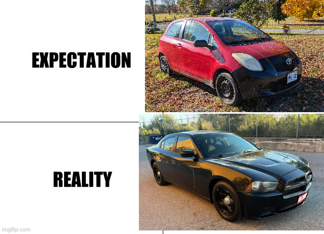 Expectation vs Reality | image tagged in expectation vs reality | made w/ Imgflip meme maker