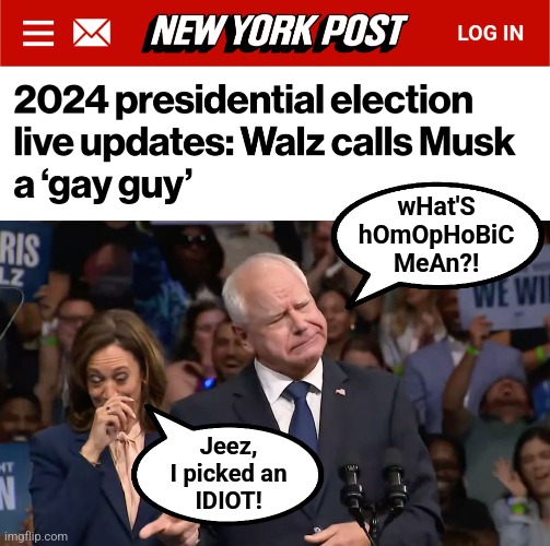 "that gay guy!" | wHat'S
hOmOpHoBiC
MeAn?! Jeez,
I picked an
IDIOT! | image tagged in tim walz and kamala harris,memes,elon musk,democrats,idiots,election 2024 | made w/ Imgflip meme maker