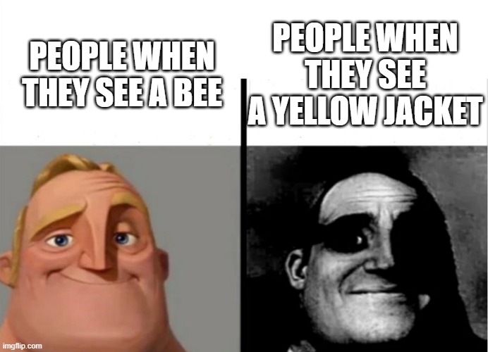 Yellow Jackets are the worst | PEOPLE WHEN THEY SEE A YELLOW JACKET; PEOPLE WHEN THEY SEE A BEE | image tagged in teacher's copy | made w/ Imgflip meme maker