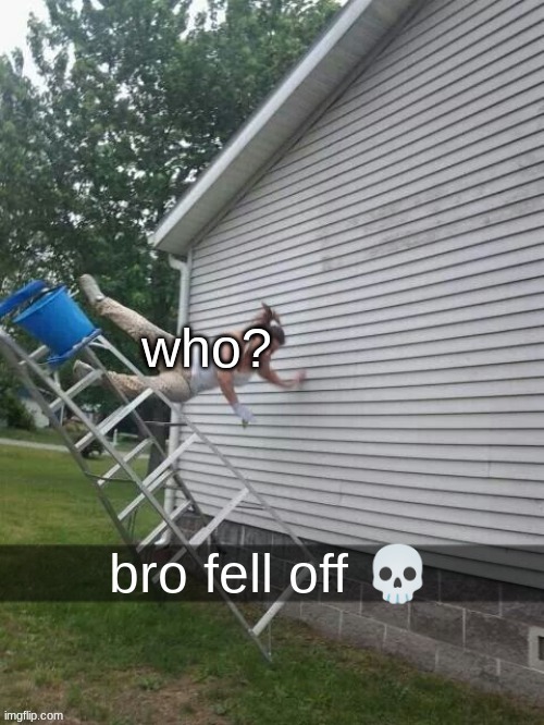 bro fell off | who? | image tagged in bro fell off | made w/ Imgflip meme maker