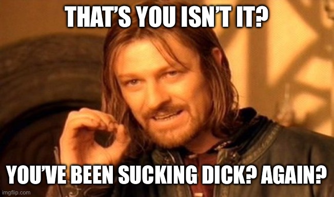 One Does Not Simply Meme | THAT’S YOU ISN’T IT? YOU’VE BEEN SUCKING DICK? AGAIN? | image tagged in memes,one does not simply | made w/ Imgflip meme maker