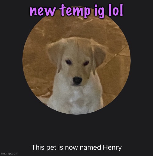 say hi to Henry | new temp ig lol | image tagged in say hi to henry | made w/ Imgflip meme maker