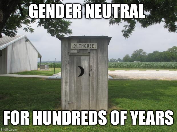 Gender neutral | GENDER NEUTRAL; FOR HUNDREDS OF YEARS | image tagged in outhouse | made w/ Imgflip meme maker