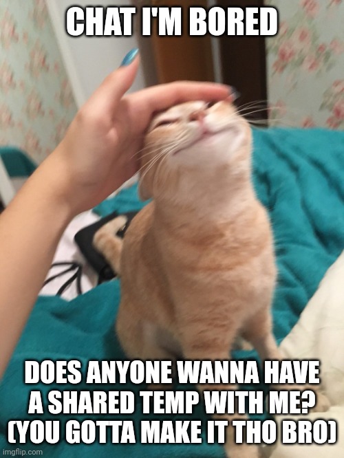 :3 | CHAT I'M BORED; DOES ANYONE WANNA HAVE A SHARED TEMP WITH ME? (YOU GOTTA MAKE IT THO BRO) | image tagged in you gotta make it tho,i to lazy | made w/ Imgflip meme maker