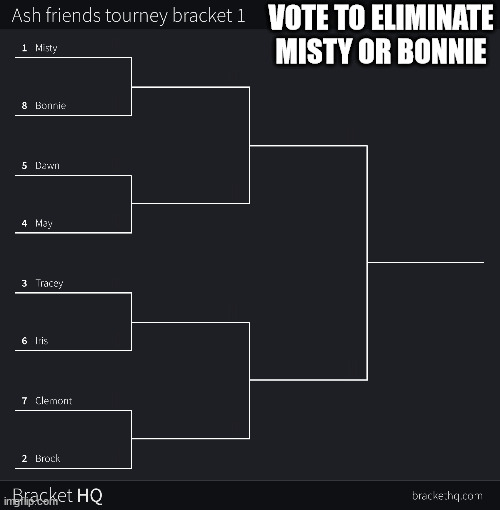 VOTE TO ELIMINATE MISTY OR BONNIE | made w/ Imgflip meme maker