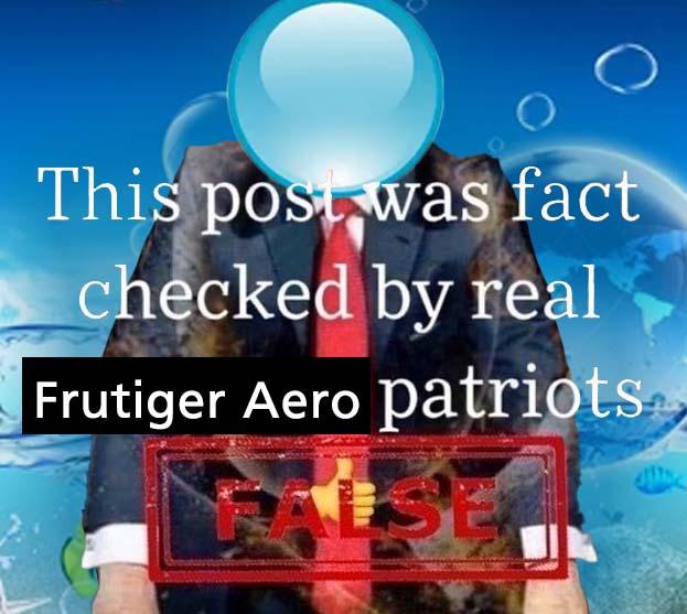 this post was fact checked by frugiter aero (false version) Blank Meme Template