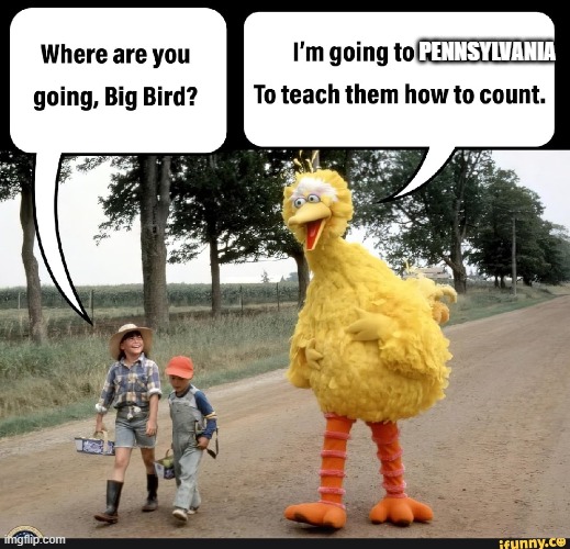 Can you say  election Interference!!! LOL | PENNSYLVANIA | image tagged in democrats,election,big bird,pennsylvania | made w/ Imgflip meme maker