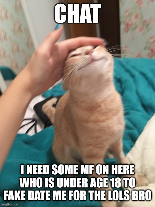 It's for the lore chat | CHAT; I NEED SOME MF ON HERE WHO IS UNDER AGE 18 TO FAKE DATE ME FOR THE LOLS BRO | image tagged in cat pat | made w/ Imgflip meme maker
