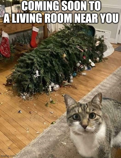 Naughty Kitty | COMING SOON TO A LIVING ROOM NEAR YOU | image tagged in christmas tree,christmas cat,naughty,funny cat memes | made w/ Imgflip meme maker