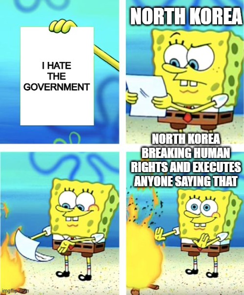 Spongebob Burning Paper | NORTH KOREA; I HATE THE GOVERNMENT; NORTH KOREA BREAKING HUMAN RIGHTS AND EXECUTES ANYONE SAYING THAT | image tagged in spongebob burning paper | made w/ Imgflip meme maker