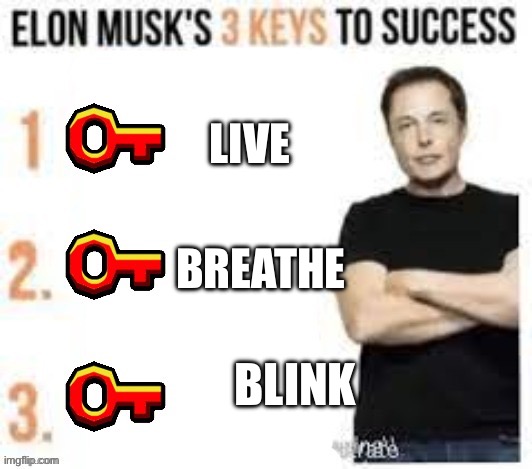 I was bored lol | LIVE; BREATHE; BLINK | image tagged in elon musk's 3 keys to success,slightly funny | made w/ Imgflip meme maker