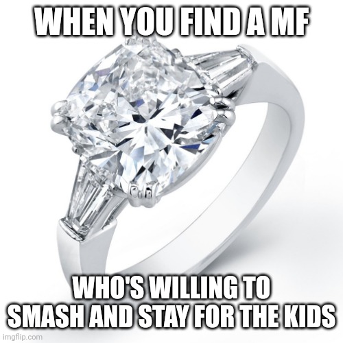 :3 mfs like that need to have a ring put on it | WHEN YOU FIND A MF; WHO'S WILLING TO SMASH AND STAY FOR THE KIDS | image tagged in diamond ring | made w/ Imgflip meme maker