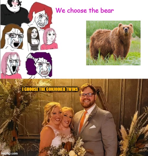 Would you rather date a feminist or conjoined twins? | We choose the bear; I CHOOSE THE CONJOINED TWINS | image tagged in memes,feminist,bear,twins,choice,dating | made w/ Imgflip meme maker