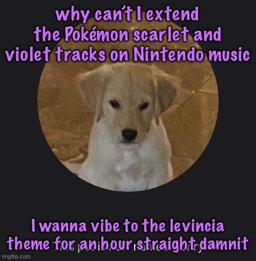 say hi to Henry | why can’t I extend the Pokémon scarlet and violet tracks on Nintendo music; I wanna vibe to the levincia theme for an hour straight damnit | image tagged in say hi to henry | made w/ Imgflip meme maker