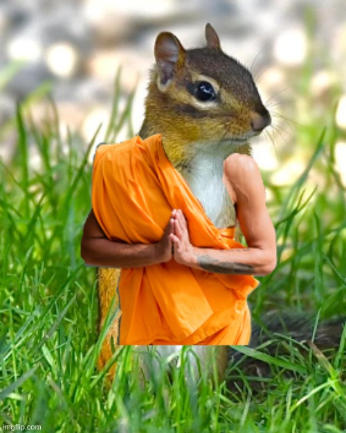 Chipmonk | image tagged in chipmonk | made w/ Imgflip meme maker