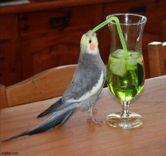 DIY Unsee Juice Meme | image tagged in diy unsee juice meme | made w/ Imgflip meme maker