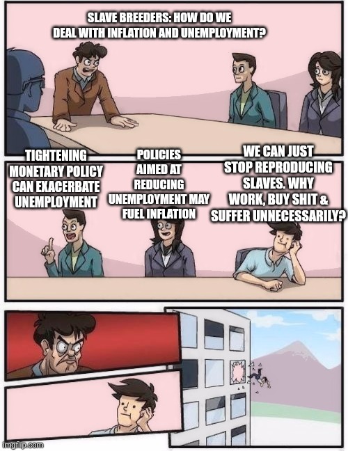 Childfree antinatalism memes | SLAVE BREEDERS: HOW DO WE DEAL WITH INFLATION AND UNEMPLOYMENT? POLICIES AIMED AT REDUCING UNEMPLOYMENT MAY FUEL INFLATION; WE CAN JUST STOP REPRODUCING SLAVES. WHY WORK, BUY SHIT & SUFFER UNNECESSARILY? TIGHTENING MONETARY POLICY CAN EXACERBATE UNEMPLOYMENT | image tagged in conference room 2 | made w/ Imgflip meme maker