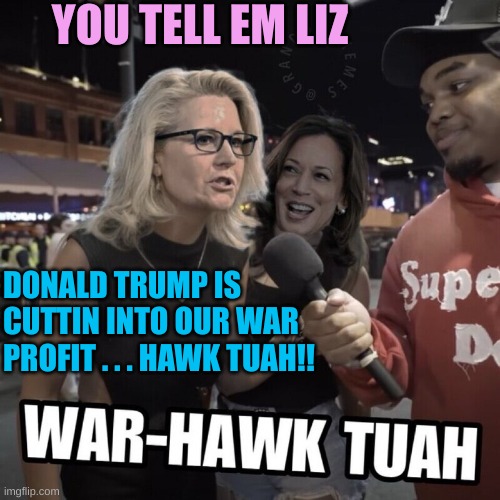 You gotta spit on that thang. | YOU TELL EM LIZ; DONALD TRUMP IS CUTTIN INTO OUR WAR PROFIT . . . HAWK TUAH!! | made w/ Imgflip meme maker