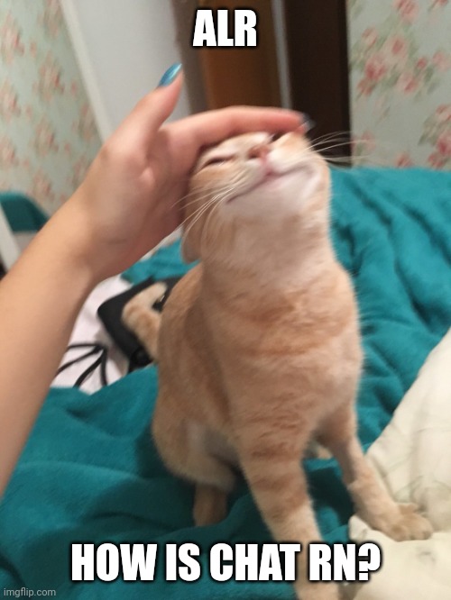 :3 | ALR; HOW IS CHAT RN? | image tagged in cat pat | made w/ Imgflip meme maker
