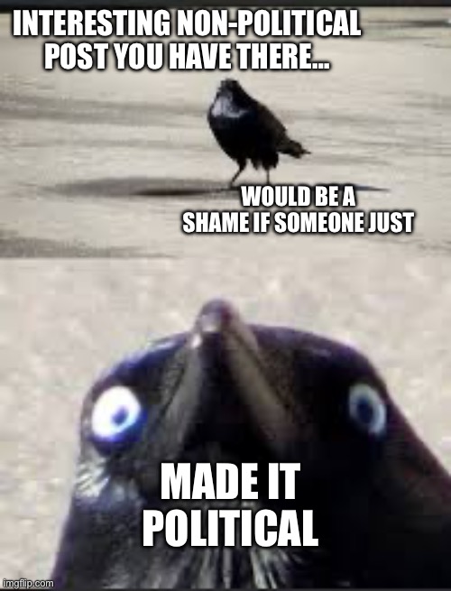 It would be a shame bird | INTERESTING NON-POLITICAL POST YOU HAVE THERE…; WOULD BE A SHAME IF SOMEONE JUST; MADE IT POLITICAL | image tagged in it would be a shame bird | made w/ Imgflip meme maker