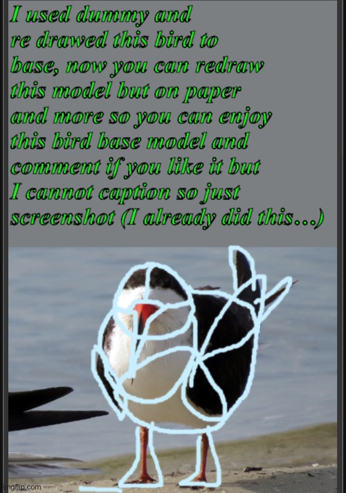 My dummy bird model | image tagged in dummy bird model | made w/ Imgflip meme maker