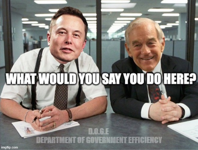 High Quality Elon Musk Department of Government Efficiency Blank Meme Template