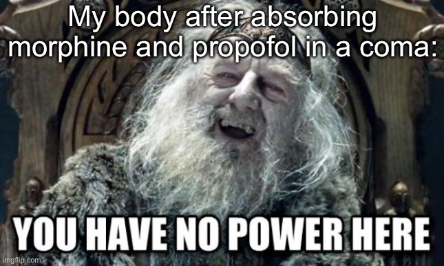 Morphine and propofol | My body after absorbing morphine and propofol in a coma: | image tagged in you have no power here,propofol,morphine,pain,coma | made w/ Imgflip meme maker