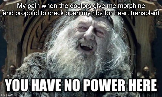 Ease into the pain and sleep | My pain when the doctors give me morphine and propofol to crack open my ribs for heart transplant | image tagged in you have no power here,morphine,propofol,pain | made w/ Imgflip meme maker