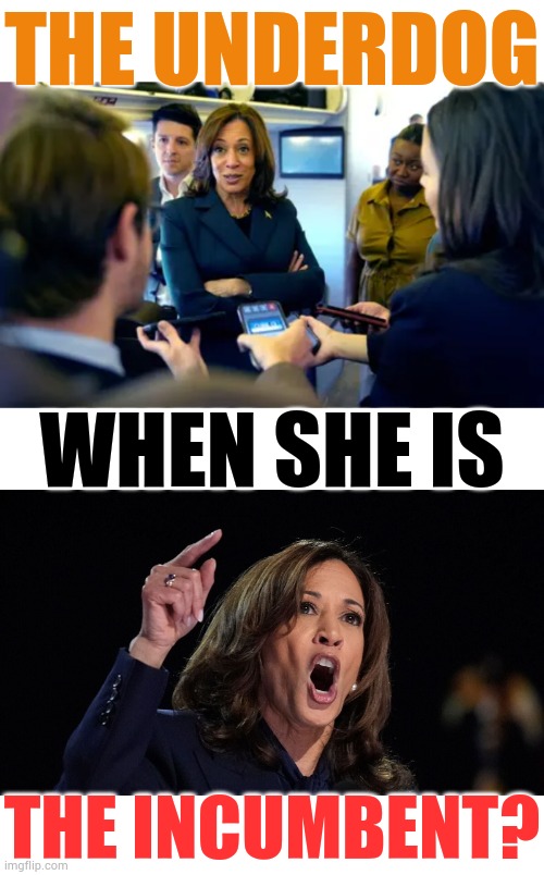 How Can Kamala Harris Be | THE UNDERDOG; WHEN SHE IS; THE INCUMBENT? | image tagged in memes,politics,kamala harris,so you're saying there's a chance,winning,vice president | made w/ Imgflip meme maker