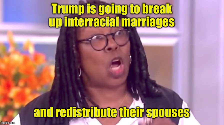 Kamala’s surrogates aren’t helping her campaign | Trump is going to break up interracial marriages; and redistribute their spouses | image tagged in deranged whoopi,nuts,racist | made w/ Imgflip meme maker