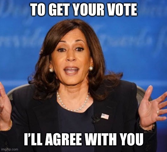 Kamala Harris | TO GET YOUR VOTE I’LL AGREE WITH YOU | image tagged in kamala harris | made w/ Imgflip meme maker