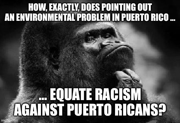 thinking monkey | HOW, EXACTLY, DOES POINTING OUT AN ENVIRONMENTAL PROBLEM IN PUERTO RICO …; … EQUATE RACISM AGAINST PUERTO RICANS? | image tagged in thinking monkey | made w/ Imgflip meme maker