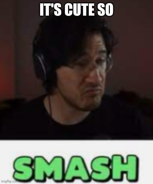 Markiplier Smash | IT'S CUTE SO | image tagged in markiplier smash | made w/ Imgflip meme maker